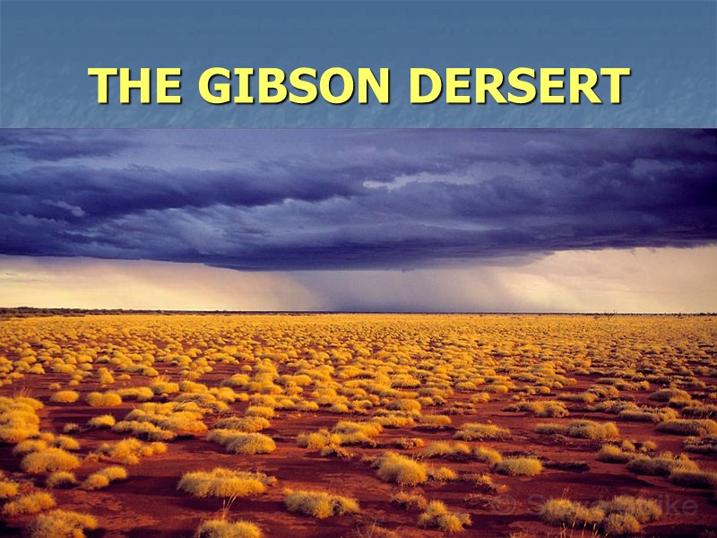 THE GIBSON DERSERT